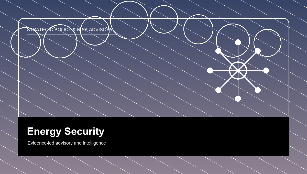Energy security and critical infrastructure analysis
